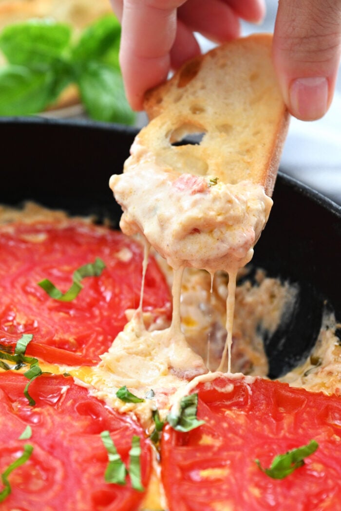 cheesy bite dp