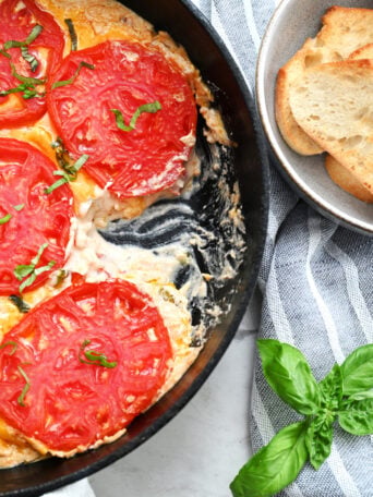 cheesy Tomato Pie Dips