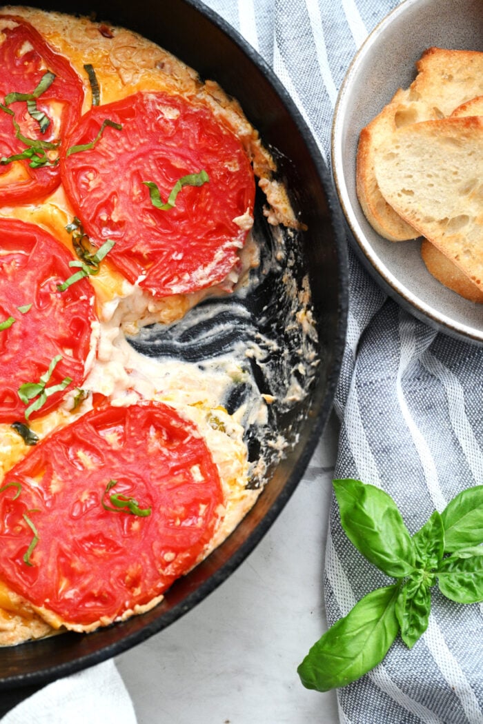 cheesy Tomato Pie Dips