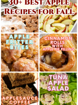 30+ Best Apple Recipes for Fall