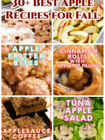 30+ Best Apple Recipes for Fall