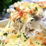 hot Easy Chicken Tetrazzini
