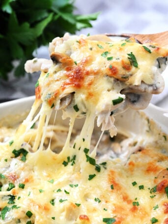 hot Easy Chicken Tetrazzini