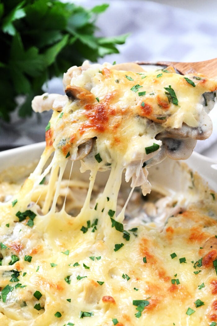 hot Easy Chicken Tetrazzini
