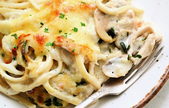 Cheesy Chicken Tetrazzini