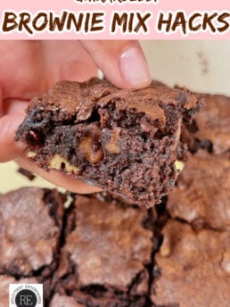 a Ghirardelli Brownie