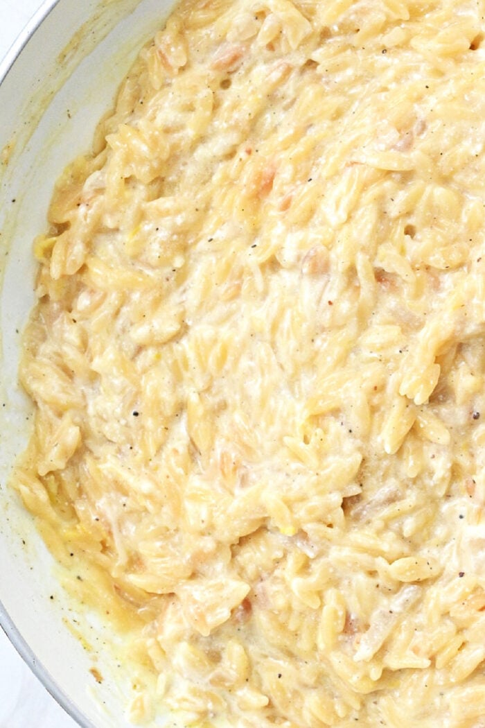 creamy orzo